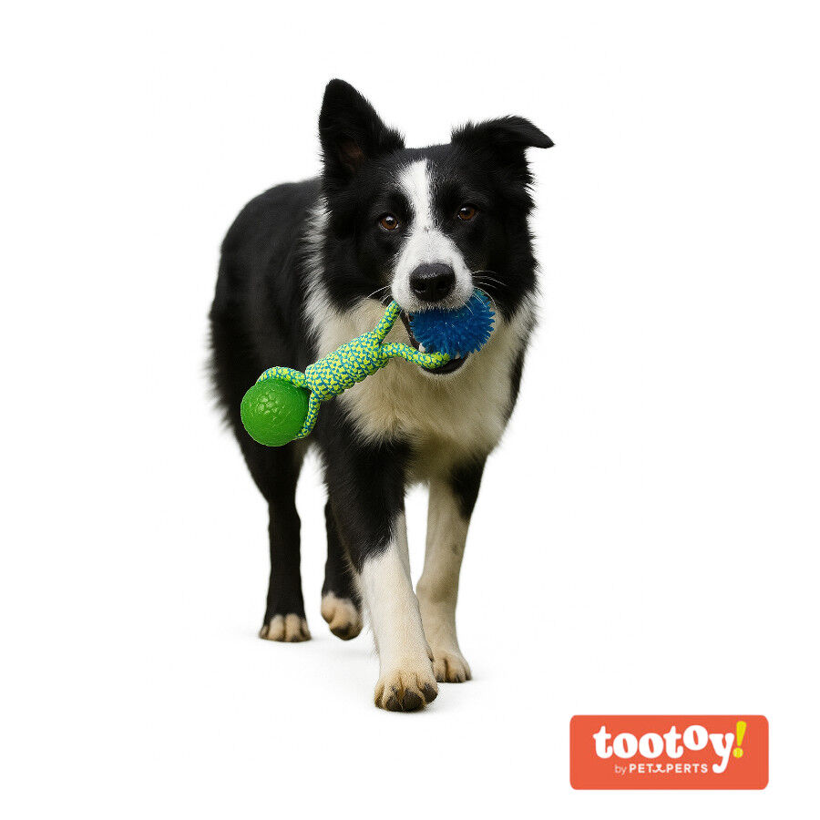 Tootoy! Mordedor de Cuerda con Pelotas de Goma para perros, , large Imagen numero 8