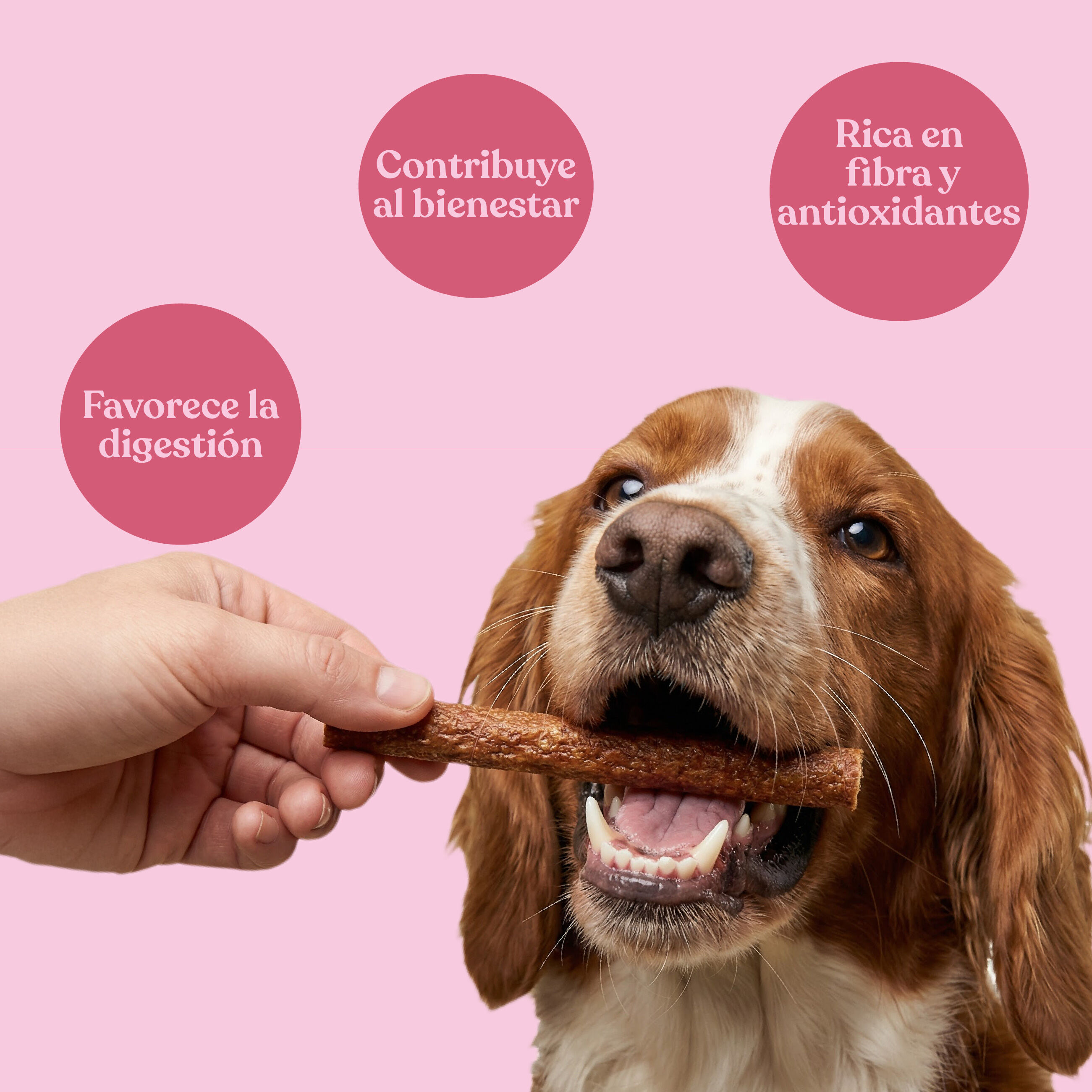 dr.bimix Barritas de 93,3% Cerdo con 2% Manzana para Perros | Snack Natural Premium, , large Imagen numero 2