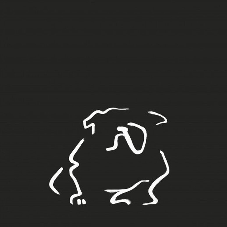 Ilustración de Bulldog sin marco color Negro, , large image number null