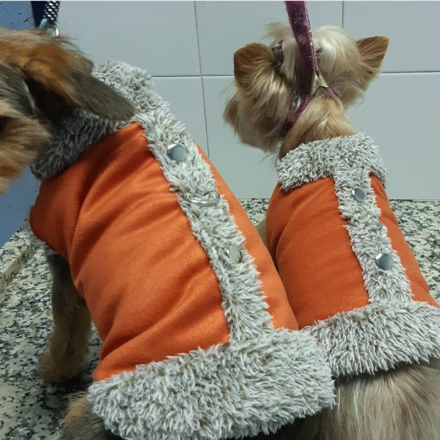 Ideal Pets, Abrigo para perros,  &Aacute;rtico Ocre, , large Imagen numero 4