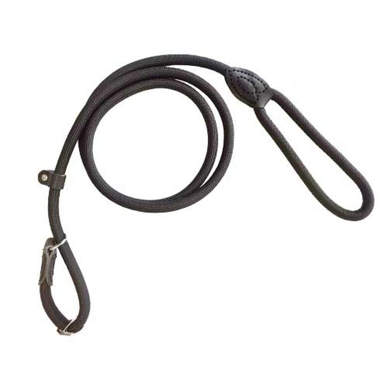 Ibañez Correa Lazo Nylon Grueso para perros thumbnail