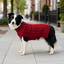 Gotoo Jersey de Punto Rojo para perros, , large indicador imagen numero 1