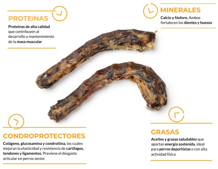 Cuellos de pato, , large Imagen numero 2