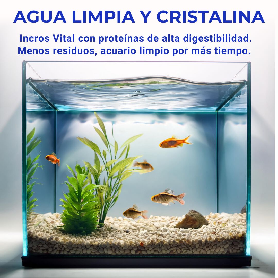 Comida para Peces Tropicales Alimento Premium en Escamas Incros Vital, , large Imagen numero 3