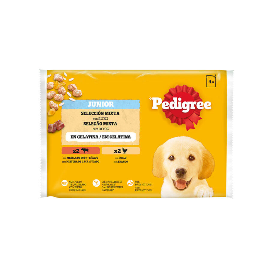 Pedigree Pollo y Buey con Arroz Gelatina en Bolsita para Cachorros - Multipack