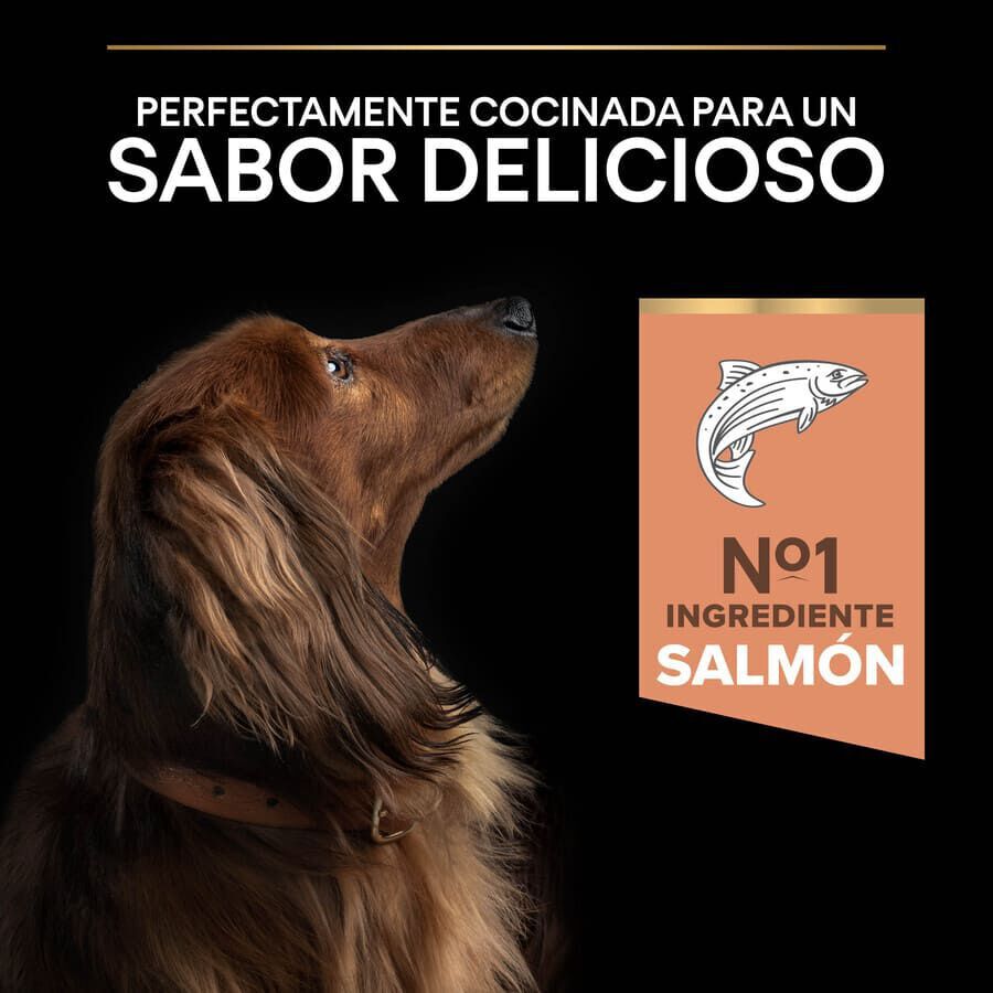 Pro Plan Adult Small y Mini Salmón Sensitive Skin pienso para perros thumbnail