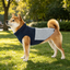 Gotoo Chaqueta Azul y Gris para perros, , large indicador imagen numero 1