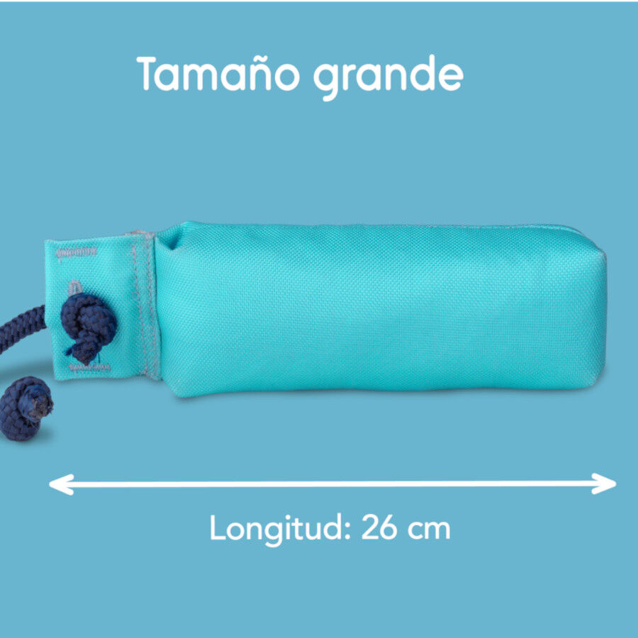 Coachi juguete de adiestramiento celeste para perros, , large Imagen numero 2