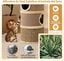 COSTWAY Barril Rascador para Gatos de 3 Pisos, 70 cm Torre para Gatos con Poste Rascado de Sisal con Cama Acolchada, &Aacute;rbol Rascador para Gato en Forma de Barril, Casa para Gatitos de Interior, , large indicador imagen numero 4