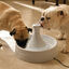 Petsafe Drinkwell Fuente Bebedero para perros y gatos, , large indicador imagen numero 3
