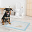 PawHut Empapadores para Perros Azul, , large indicador imagen numero 7