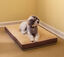 FINCA CASAREJO Cama para Perros y Gatos- Fácil de Lavar - Colchoneta Super Confortable 7,7cm de Grosor- 3 tamaños Diferentes en función del tamaño del Perro (Medium (69x47cm)), , large indicador imagen numero 6
