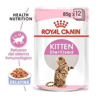 Royal Canin Kitten Sterilised gelatina para gatos