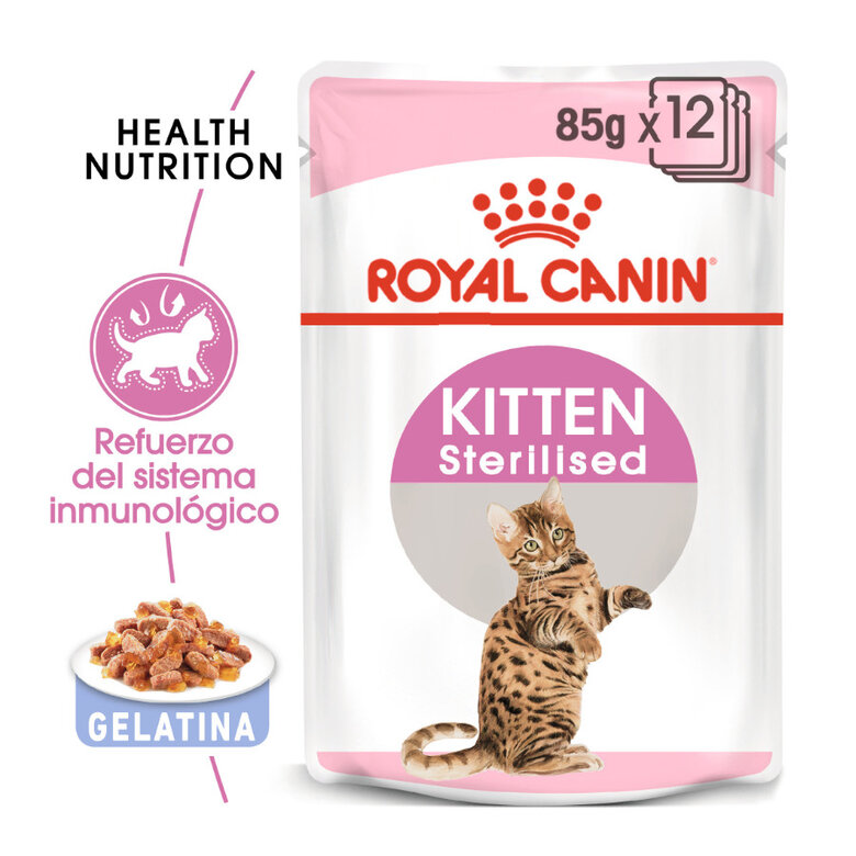 Royal Canin Kitten Sterilised gelatina para gatos, , large image number null