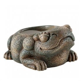 Bebedero Exo-Terra Azteca Frog color Marrón