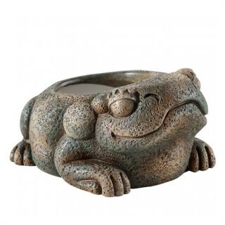 Bebedero Exo-Terra Azteca Frog color Marrón