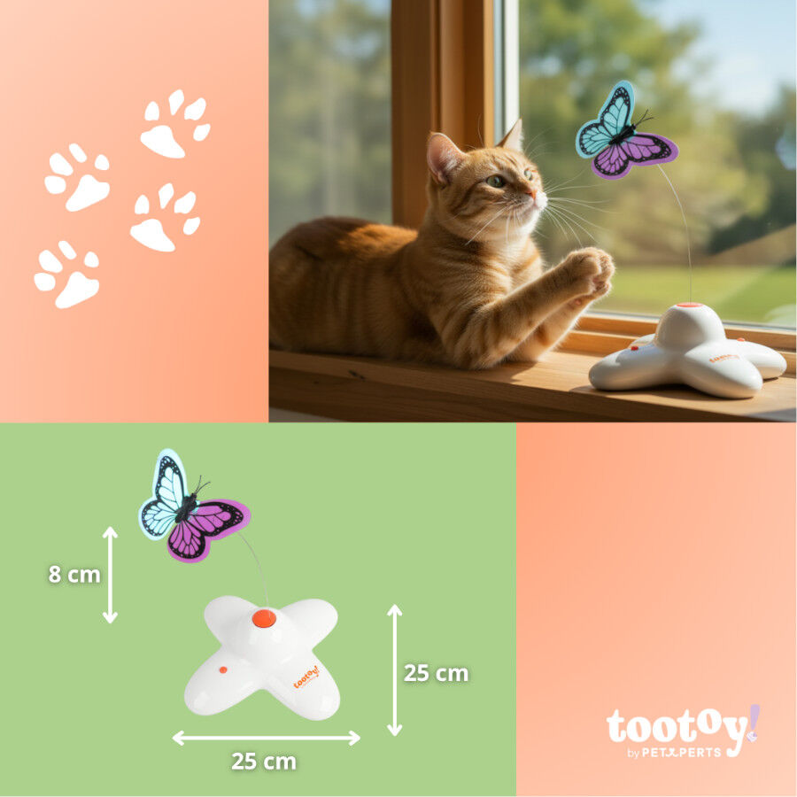 Tootoy! Mariposa Se&ntilde;uelo Interactiva para gatos, , large Imagen numero 6