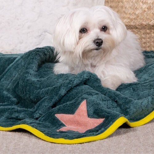 Manta Flora Nube para perros color Verde, , large Imagen numero 2