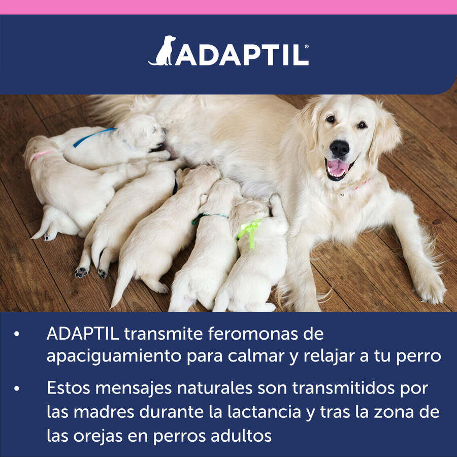 Adaptil Junior Collar Anti-estrés para perros thumbnail