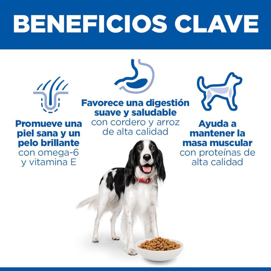 18 kg Hill's Science Plan Adult Medium Cordero y Arroz pienso para perros, , large Imagen numero 5