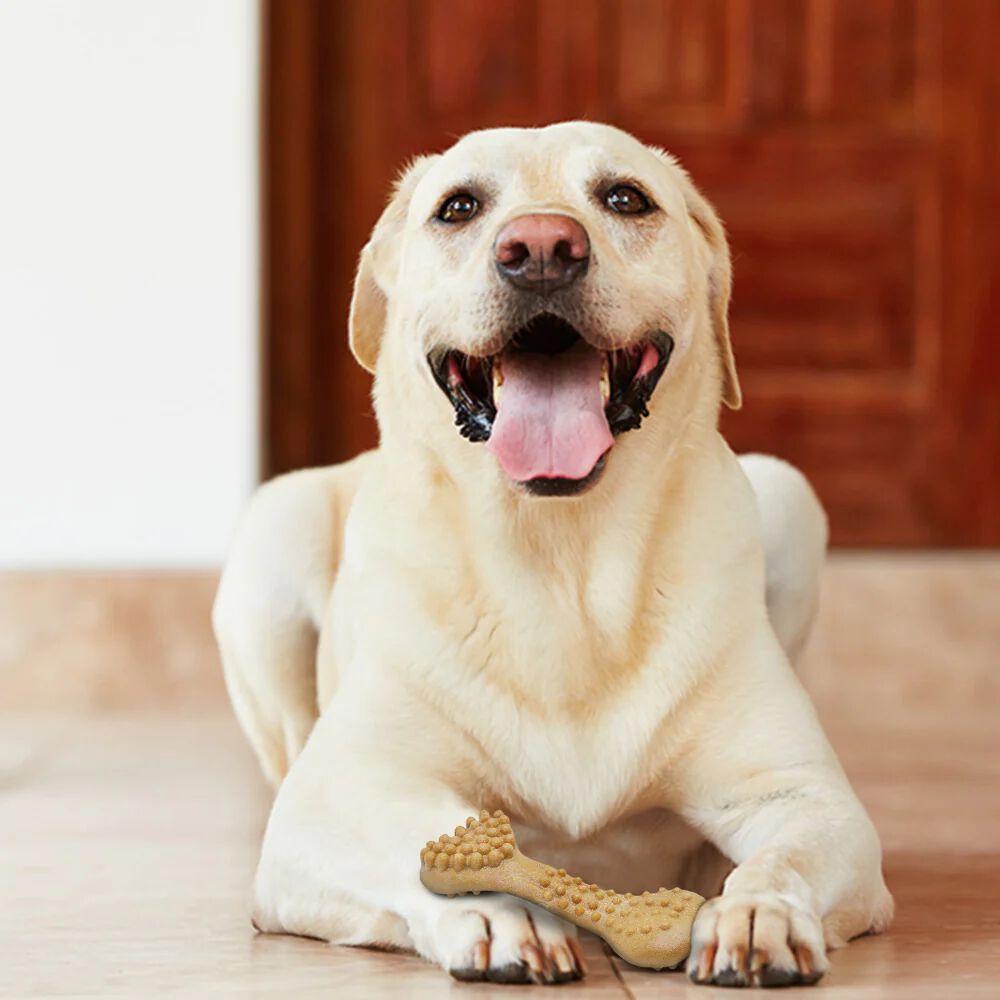 FOFOS | Cepillo Dientes Fibra de Madera - Para Perro, , large Imagen numero 2