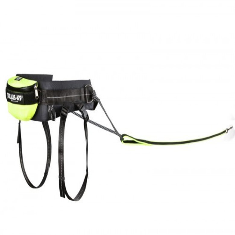 Set Canicross Julius K9 color Negro, , large image number null