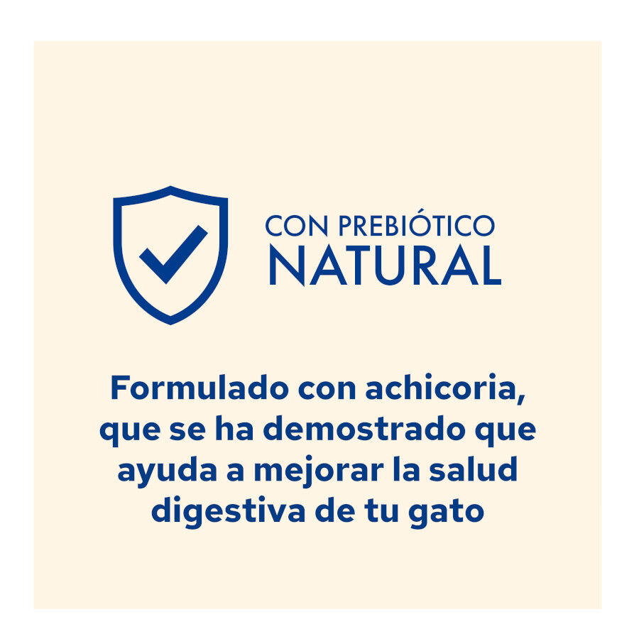 Cat Chow Adult Pollo Pienso para gatos thumbnail