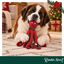 Wonder Christmas Pulpo XL Peluche para perros, , large indicador imagen numero 2