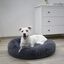 Cama Para Perros, , large indicador imagen numero 3