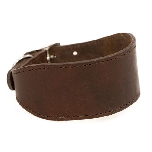 TK-Pet Namur marr&oacute;n collar de cuero para galgos Imagen numero 1