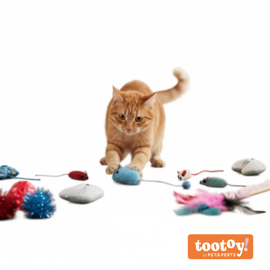 Tootoy! Caja de Juguetes Variados para gatitos, , large Imagen numero 14