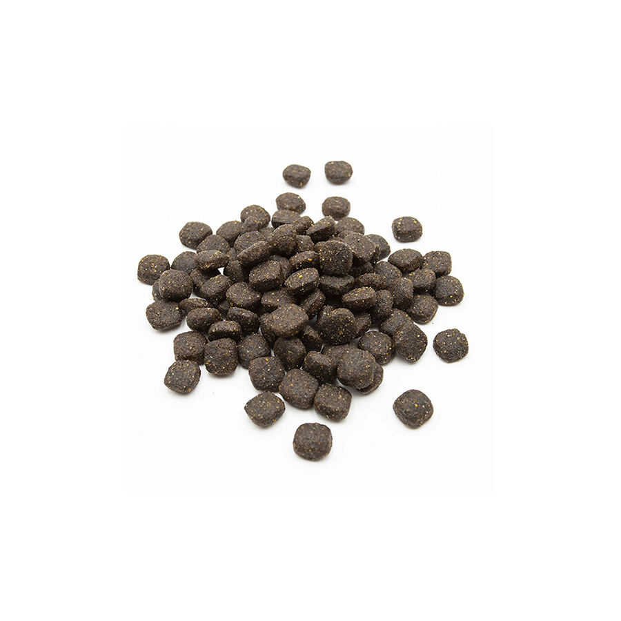 Breedna Adult Lamb Rice Pienso para perros thumbnail