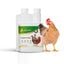 Avianvet Digestivo Vermin Gallinas 200 ml, , large indicador imagen numero 1