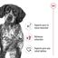 2 x 15 kg Royal Canin Medium Adult pienso para perros ¡Pack ahorro!, , large indicador imagen numero 5