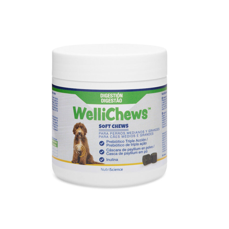 Swedencare Welli Digest Suplemento Digestivo con Prebi&oacute;ticos para perros, , large Imagen numero 1