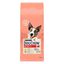Dog Chow Active Pollo pienso para perros, , large indicador imagen numero 1