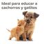 Beaphar Gel Educador para Exterior para perros y gatos, , large indicador imagen numero 5