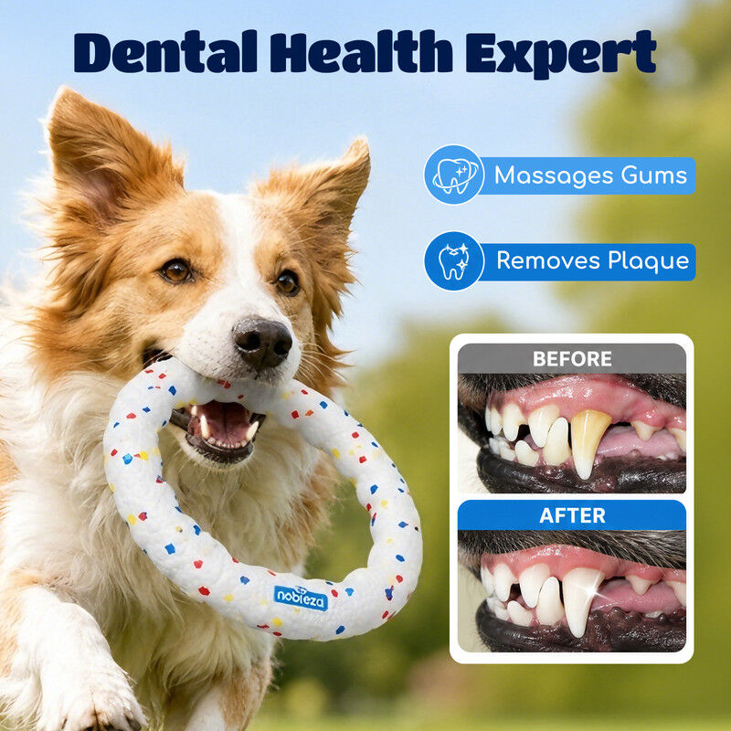 Nobleza Frisbee para Perros Pack de 2 &ndash; Disco Volador Interactivo de Goma E-TPU Indestructible y Ultraligero, Juguete Flotante y Limpiadientes para Adiestramiento en Playa y Parque &Oslash; 23 cm, , large Imagen numero 5