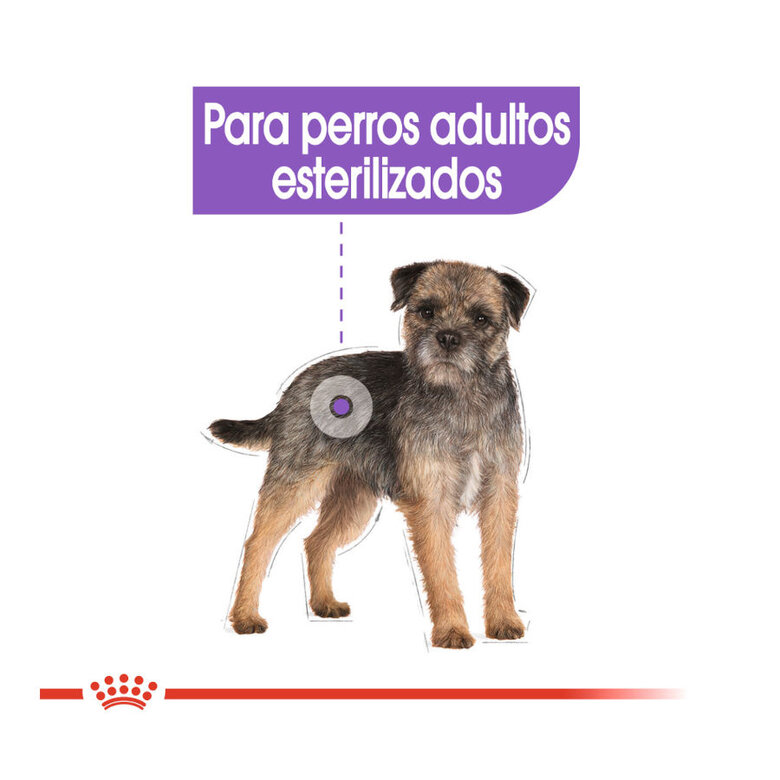 Royal Canin Sterilised Sobres Paté para perros, , large image number null