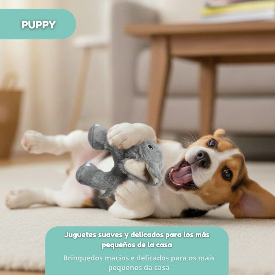 Tootoy! Elefante Mordedor de Peluche para cachorros, , large Imagen numero 5