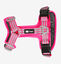 Arnés Foxys Antitirones con hebillas aluminio reforzadas color Rosa, , large indicador imagen numero 1