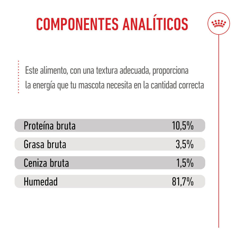 Royal Canin Kitten Sterilised gelatina para gatos thumbnail