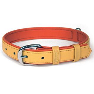 Collar flexi modelo Summertime 3 para perros color Naranja
