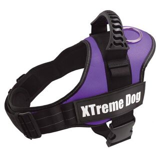 Arnés Xtreme para perros color Lila