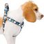 Zooz arn&eacute;s snoopy azul para perros, , large indicador imagen numero 1