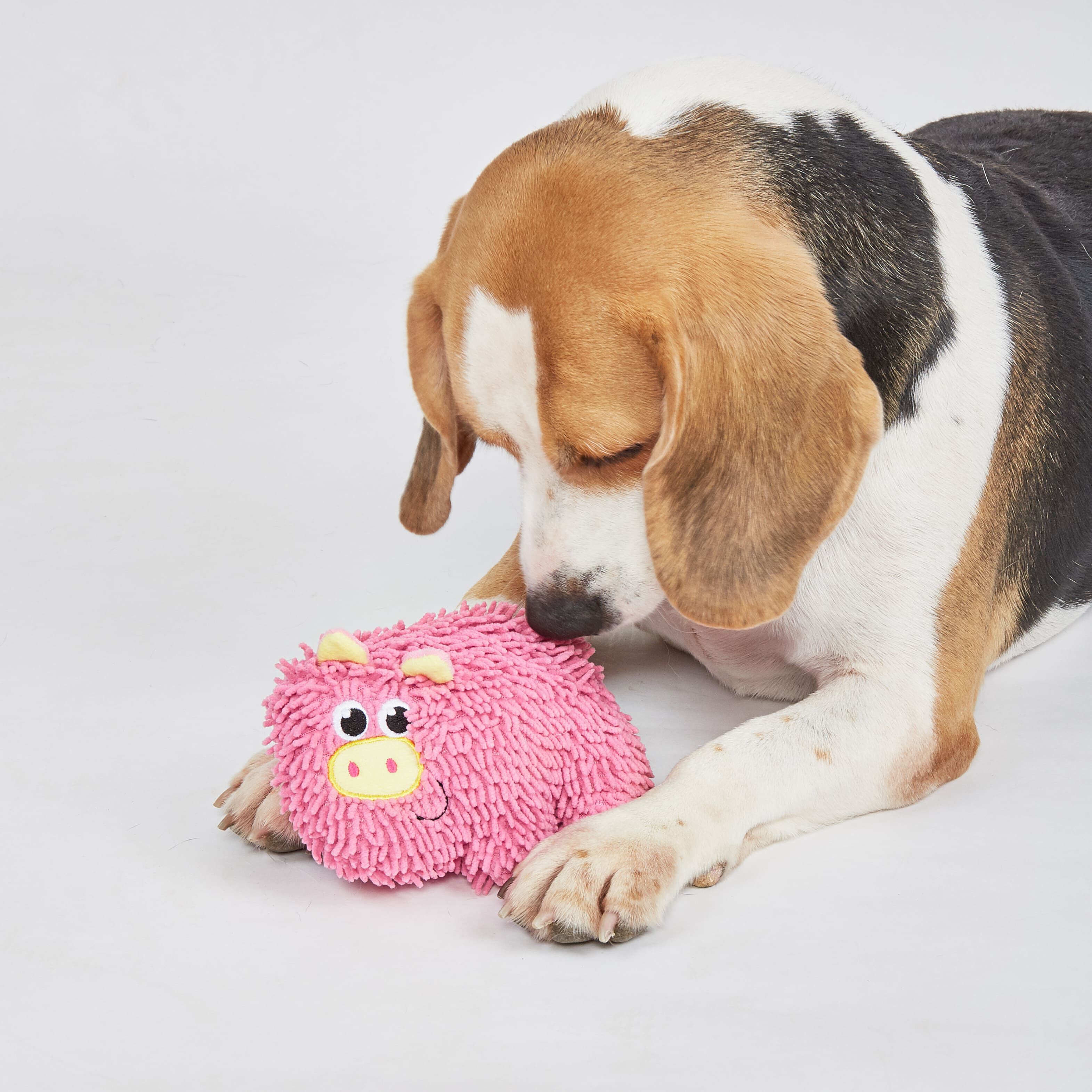 FOFOS | Peluche Cerdito Resistente de Microfibra con Sonido- Para Cachorros/Perros de Raza Peque&ntilde;a, , large Imagen numero 2