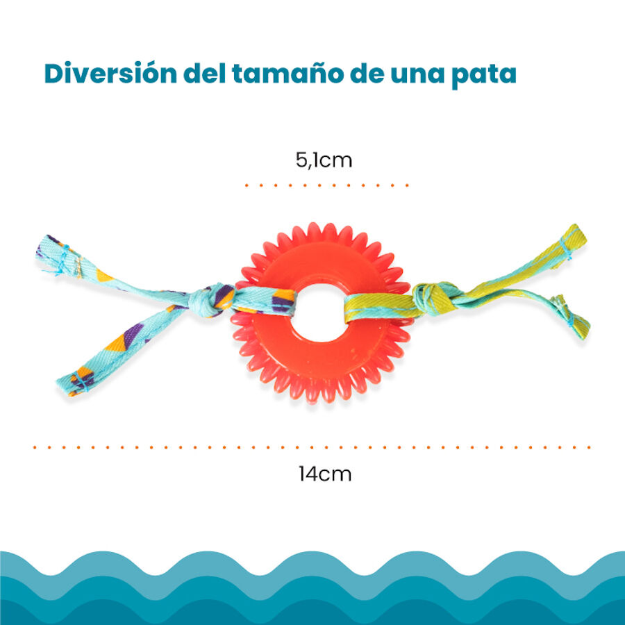 Catstages Kitty Chew Roja Rueda Mordedor para gatos, , large Imagen numero 3