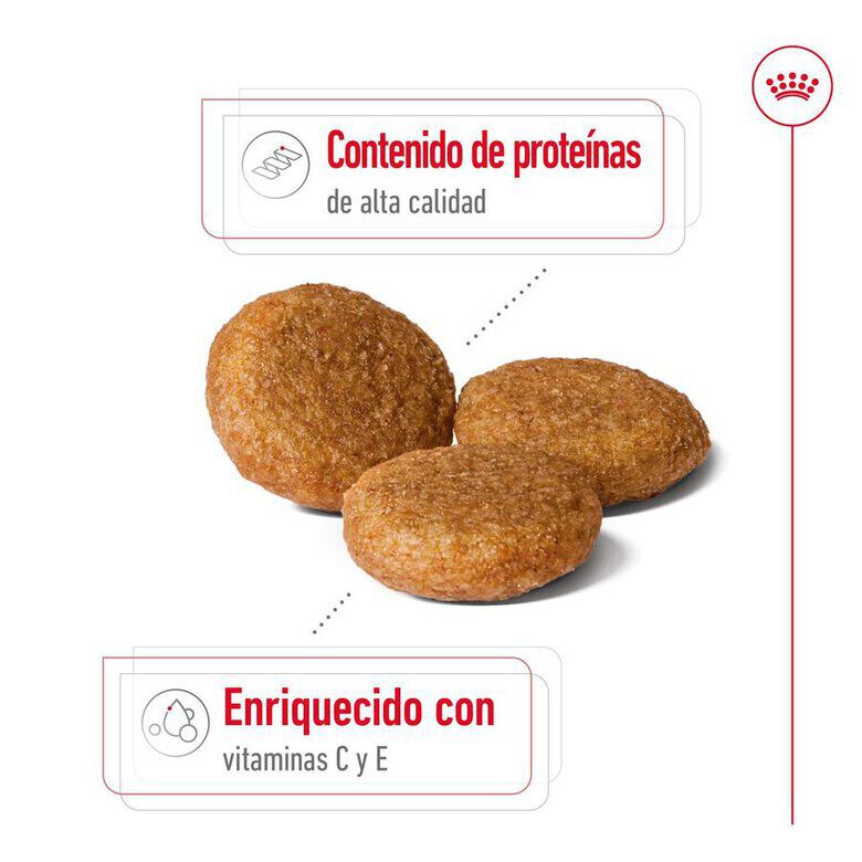 Royal Canin Medium Adult pienso para perros thumbnail