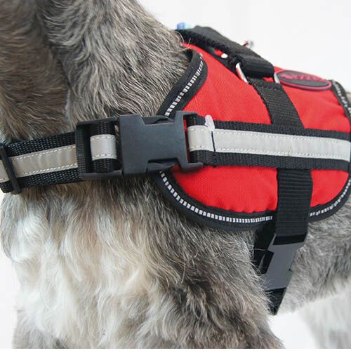 Arn&eacute;s Active ARN&Eacute;S ROJO XS, , large Imagen numero 2