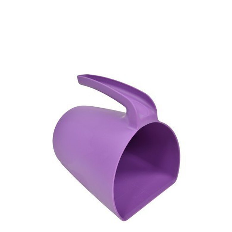 Jarra de servir color Púrpura, , large image number null